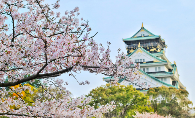 Japán a cseresznye virágzás idején