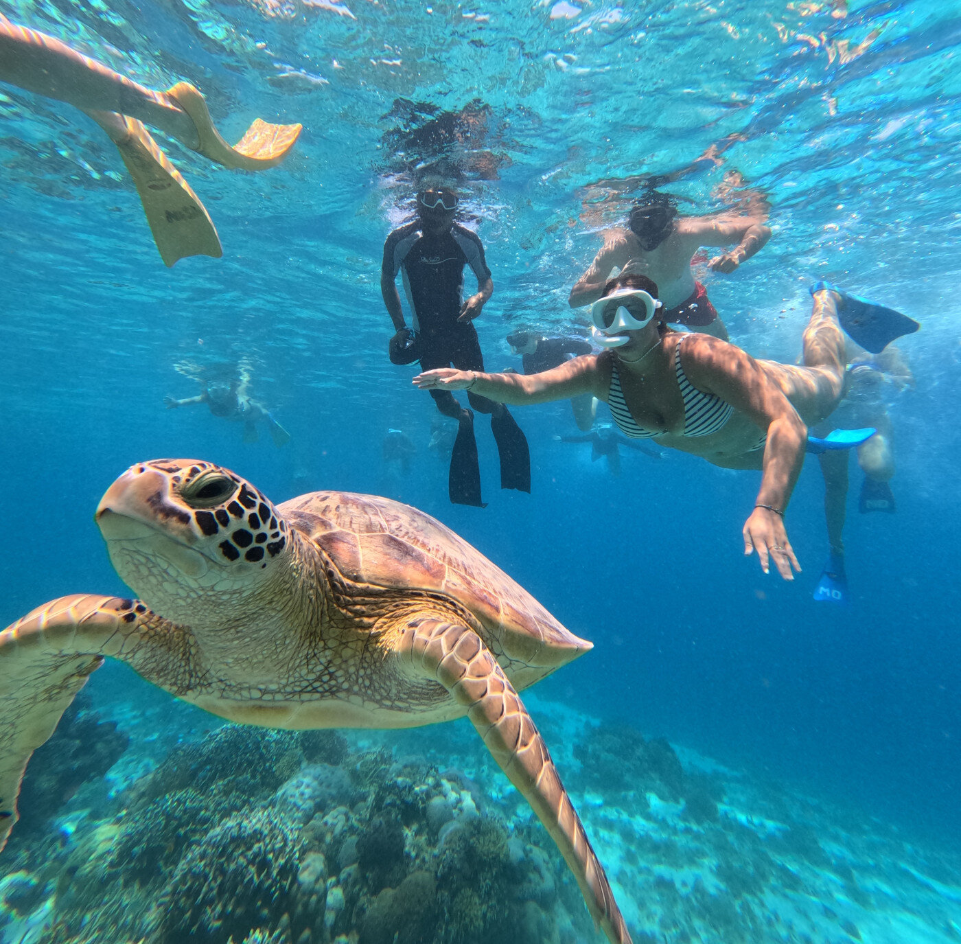 Snorkeling a teknősökkel